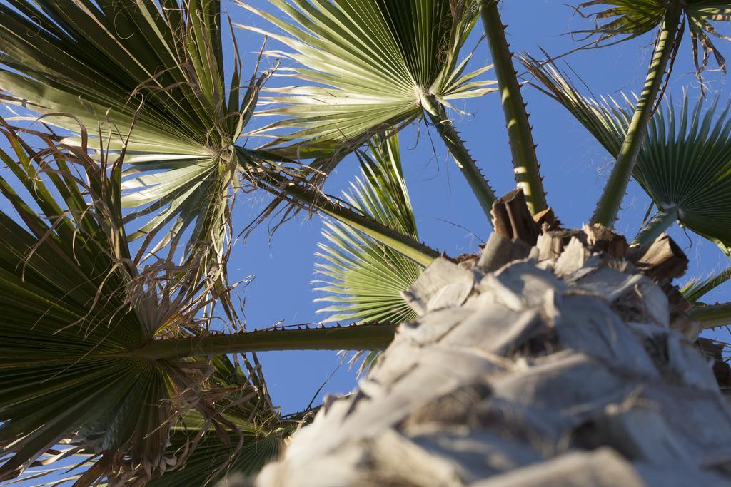 Sud Beach Hotel Fronte Mare By Ria Hotels Marina Di Pulsano Kamer foto