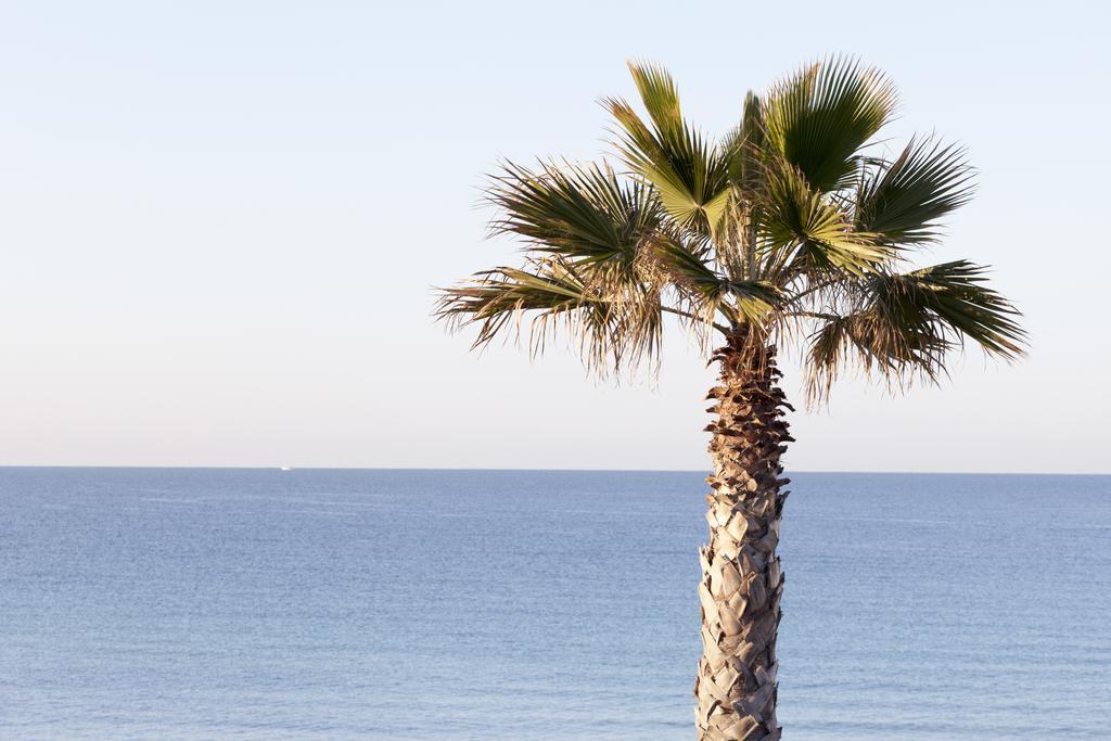 Sud Beach Hotel Fronte Mare By Ria Hotels Marina Di Pulsano Kamer foto